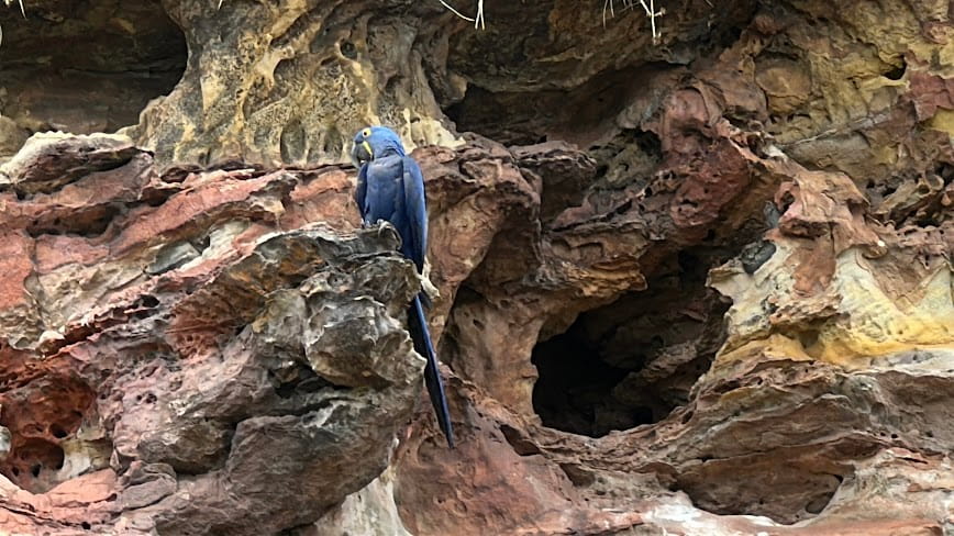 Detalhes da natureza e formação rochosa na Pedra Furada, no Jalapão, durante a expedição da RF TUR